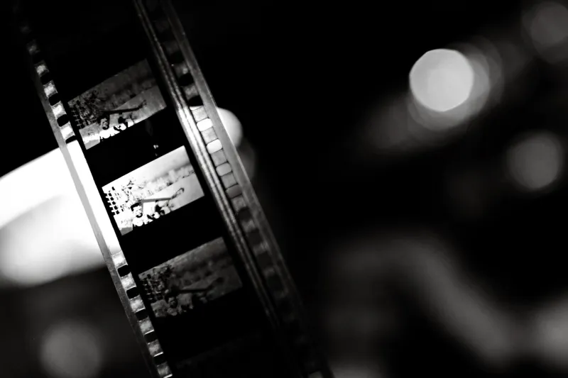 The Forgotten Frequencies: Why Independent Cinema's Next Frontier Is the Genre Nobody Is Making