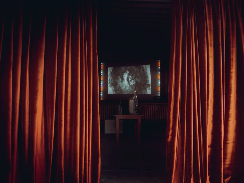 Watching Again, Seeing More: How a New Generation of Film Lovers Is Trading Novelty for Depth